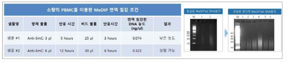 면역침강 조건별 MeDIP 전처리 조건에 따른 MeDIP-seq 라이브러리 제작