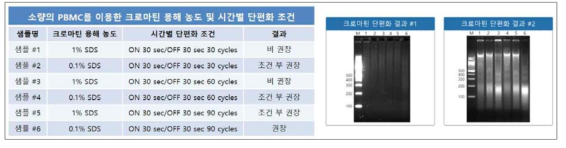 크로마틴 용해 농도 및 크로마틴 단편화 조건별 ChIP-seq 라이브러리 제작 검증