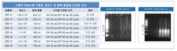 세포주 및 용해 볼륨 조건별 ChIP-seq 라이브러리 제작 검증