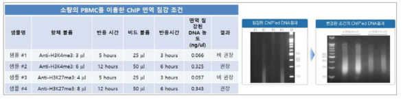 면역 침강 조건별 전처리 조건별 ChIP-seq 라이브러리 제작 검증