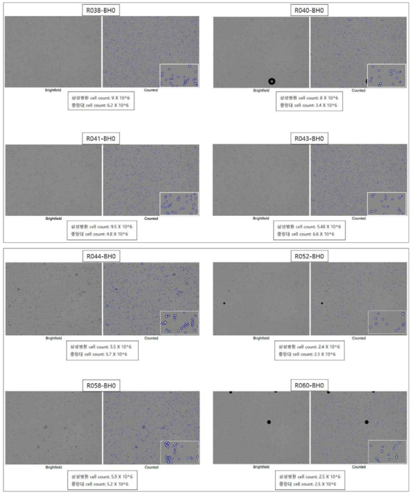 3차년 대표 결과에 대한 세포수 계측기(Cell counter)를 이용한 정량적인 세포수 측정