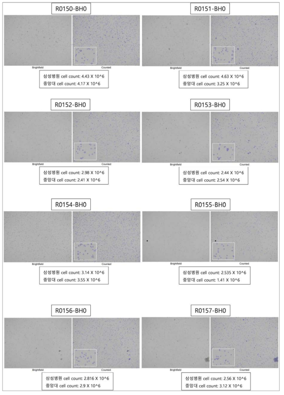 4차년 대표 결과에 대한 세포수 계측기(Cell counter)를 이용한 정량적인 세포수 측정