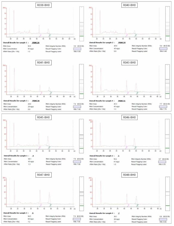 3차년 대표 결과에 대한 Bioanalyzer를 이용한 PBMC의 total RNA QC 확인