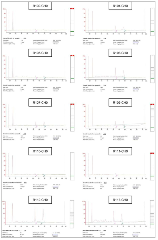 4차년 대표 결과에 대한 Bioanalyzer를 이용한 PBMC의 total RNAQC 확인