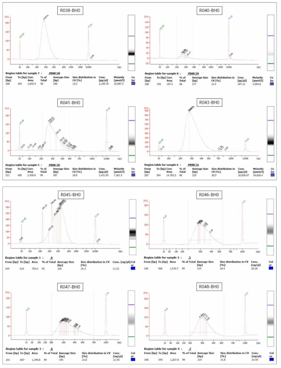 3차년 대표 결과에 대한 Bioanalyzer를 이용한 mRNA sequencing library QC 확인