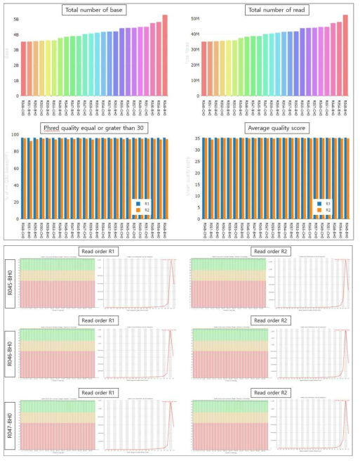 3차년 대표 결과에 대한 일루미나 Novaseq 6000을 이용한 mRNA 시퀀싱 데이터 QC 확인