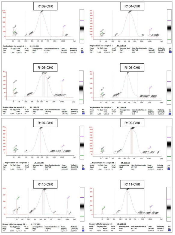 4차년 대표 결과에 대한 Bioanalyzer를 이용한 MeDIP-seq 라이브러리QC 확인