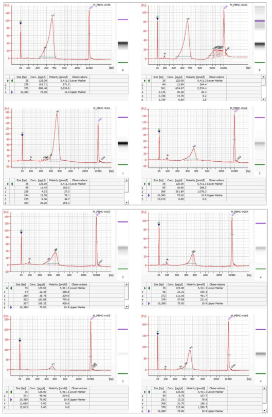 4차년 대표 결과에 대한 Bioanalyzer를 이용한 사이즈 분리된 라이브러리 QC 확인