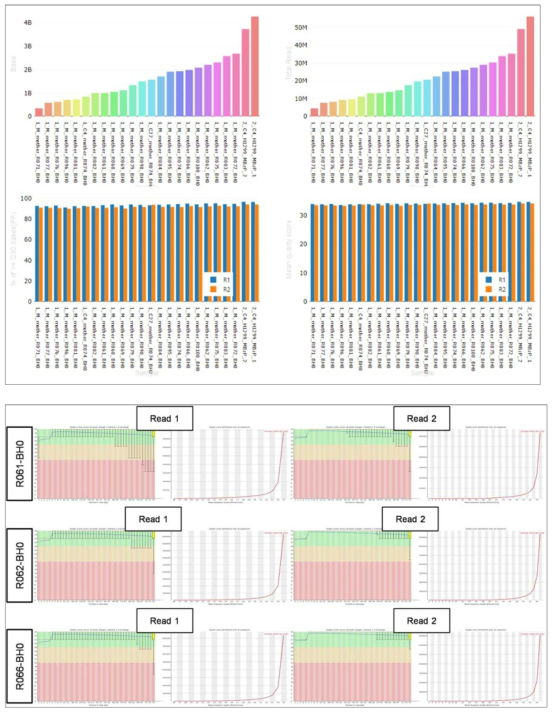 Illumina Nextseq 500 플랫폼을 이용하여 DNA 메틸체 데이터 생산 및 QC 확인