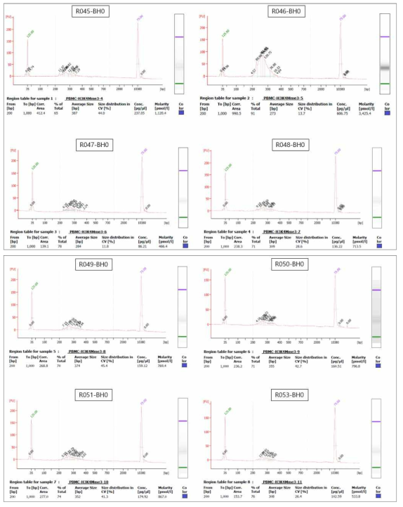 3차년 대표 결과에 대한 Bioanalyzer를 이용한 활성 히스톤 수식체 시퀀싱 라이브러리 QC 확인