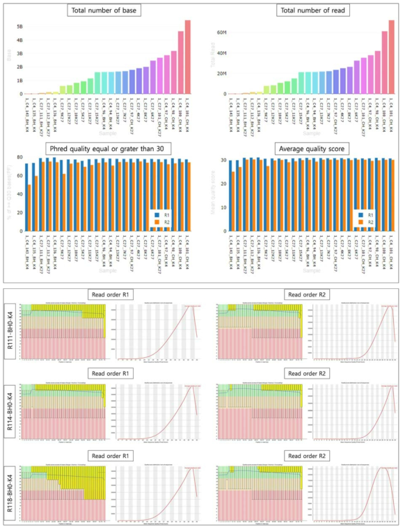 4차년 대표 결과에 대한 Illumina Nextseq 500 플랫폼을 이용하여 활성 히스톤 데이터 생산 및 QC 확인