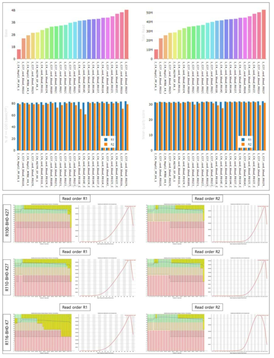 4차년 대표 결과에 대한 Illumina Nextseq 500 플랫폼을 이용하여 억제 히스톤 수식체 데이터 생산 및 QC 확인