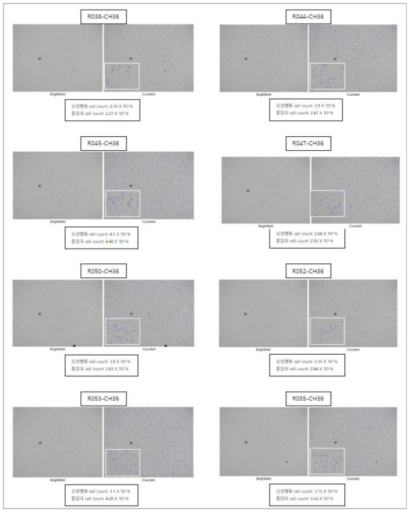 5차년 대표 결과에 대한 세포수 계측기(Cell counter)를 이용한 정량적인 세포수 측정