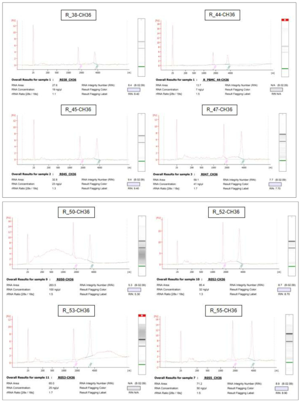 5차년 대표 결과에 대한 Bioanalyzer를 이용한 PBMC의 total RNAQC 확인