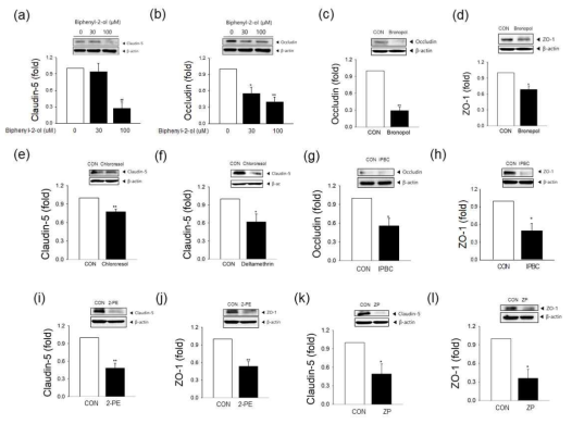 그 외 살생물제의 밀착 연접 단백 (tight junction protein)에 대한 영향 분석; (a-b) biphenyl-2-ol; (a) occludin, (b) claudin-5 발현량 변화, (c-b) bronopol; (c) claudin-5, (d) ZO-1 발현량 변화, (e) chloecresol; claudin-5, (f) deltamethrin; claudin-5, (g-h) IPBC; (g) ocludin, (h)ZO-1 발현량 변화, (i-j) 2-phenoxyethanol (2-PE); (i) claudin-5, (j) ZO-1; (k-i)Zinc pyrithione (ZP); (k) claudin-5, (i) ZO-1 발현량 변화