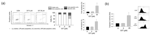 OIT 노출 후 bEND.3 세포에서 (a) apoptosis (Annexin V), necrosis (PI) 분석, (b) caspase-3 활성도 분석