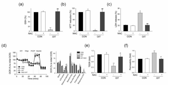 OIT 노출 후 bEND.3 세포에서 (a) apoptosis (Annexin V), necrosis (PI) 분석, (b) caspase-3 활성도 분석