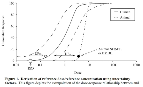 실험동물 참고치로부터의 Human Reference dose (RfD)의 산출