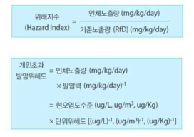 발암성/비발암성 위해도 결정