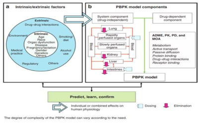 Application of physiologically based pharmacokinetic (PBPK/PBTK) modeling and simulation