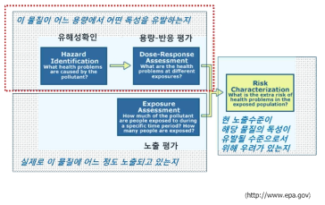 위해성평가의 주요 4단계 및 독성정보의 중요성