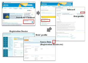 ECHA 사이트 구성과 물질 정보 검색 단계
