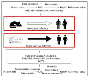 IVIVE, allometry를 이용한 human reference value의 확보 scheme