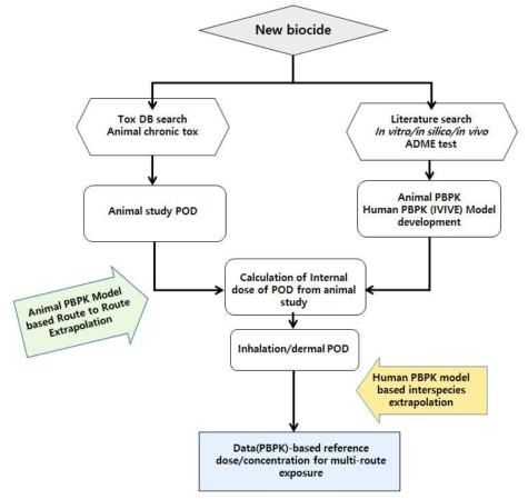 PBPK/PBTK기반 흡입/피부흡수 위해성평가 모델 개념