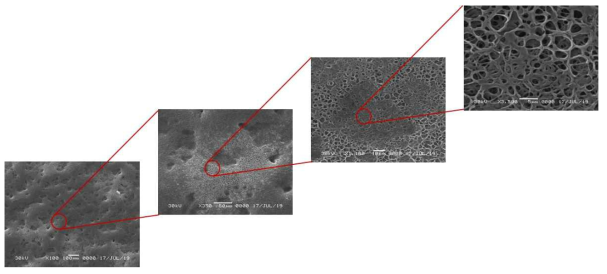 SEM images of CA-based adsorption column at different magnifications