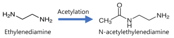 에틸렌디아민의 주 대사경로