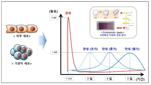 세포주 별 유해화학물질 처리 기간 및 농도에 따른 급성 및 만성 조건 구축