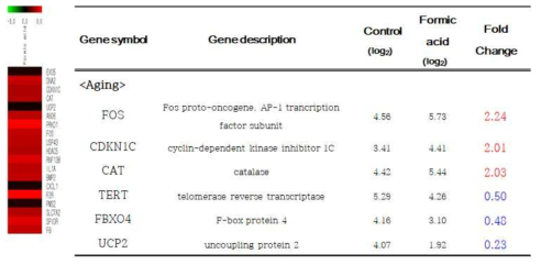 생체외 모델에서 포름산 급성 노출 시 발현이 증가하는 노화 관련 유전자