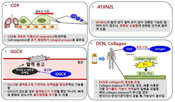 메탄올 생체지표 기능