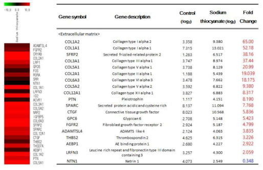 생체외 모델에서 티오시안산나트륨 급성 노출 시 발현이 변화하는 세포외기질 관련 유전자