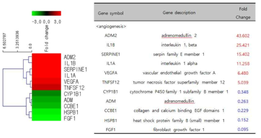 생체외 모델에서 페놀 급성 노출 시 발현이 증가하는 혈관신생 관련 유전자
