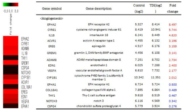 생체외 모델에서 톨루엔 디이소시아네이트 급성노출 시 발현이 증가하는 혈관신생 관련 유전