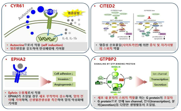 톨루엔 디이소시아네이트 노출 바이오마커 기능