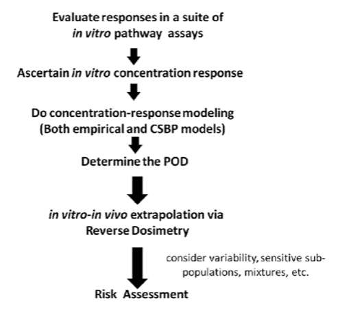 Scheme of in vitro-based risk assessment