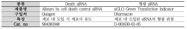siRNA의 도입 효율 측정에 사용한 siRNA 정보