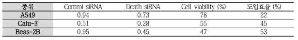 세포주 별 siRNA 도입 효율