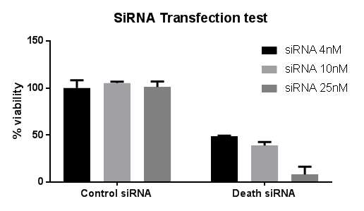 HTS에서의 Death siRNA 농도별 transfection 효율 측정결과