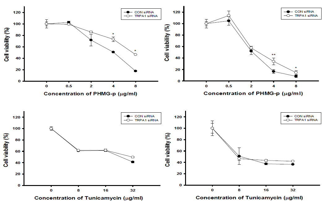 PHMG와 투니카마이신의 세포독성 영향. PHMG(A), 투니카마이신(B), 24시간 노출(좌), 48시간 노출(우)