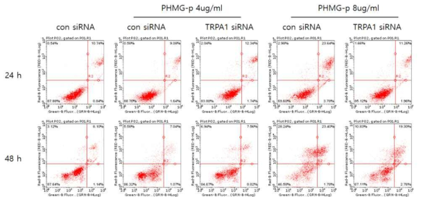 PHMG에 의한 A549 세포사에서 TRPA1의 역할 규명을 위한 유세포 분석