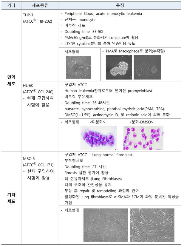 면역세포 및 기타세포