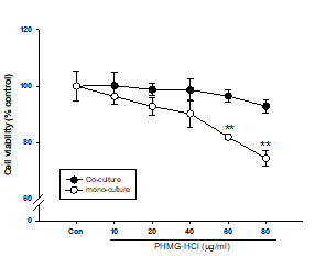 공동배양 시스템에서의 PHMG의 SAEC세포의 세포독성 평가