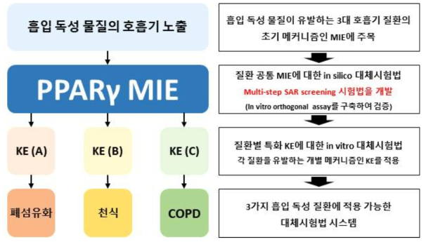 호흡기질환 유발 흡입독성 AOP와 질환-공통 in silico 대체시험법의 관계도