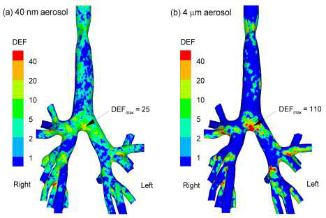 에어로졸 입자의 크기에 따른 기관기관지내 분포 시뮬레이션