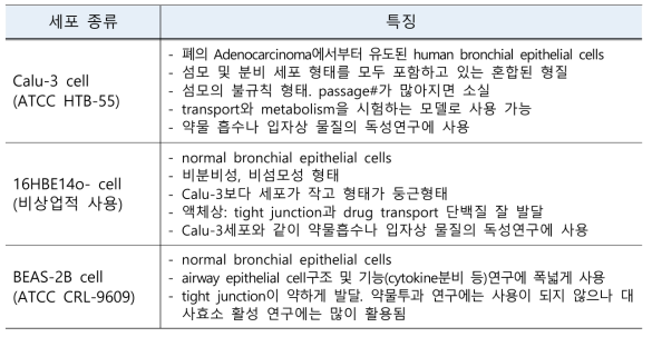 기관지 상피세포주 별 특징