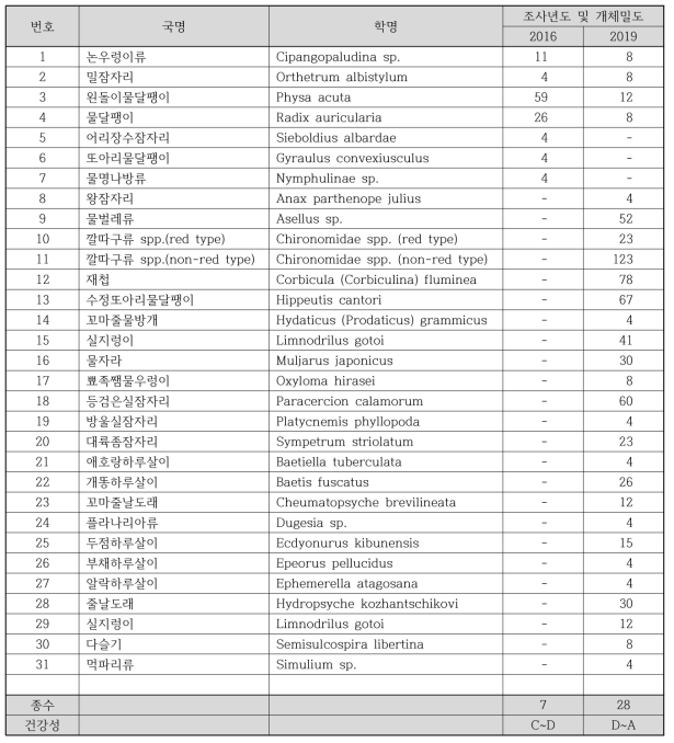 대조지역(금호강 1-3) 하천 생물측정망 저서성 대형무척추동물 출현종 정보