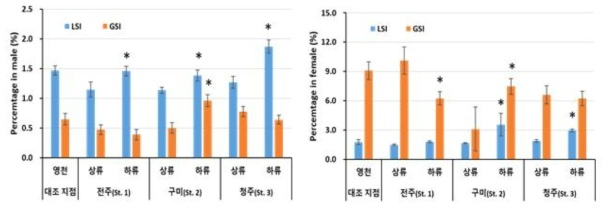 현장 조사지점의 피라미 생식소중량지수(GSI)와 간중량지수(LSI)(2020년 5월). *: P< 0.05 유의수준에서 통계적 차이를 나타냄 (Student-Newman-Keuls Mehtods of the one-way ANOVA test, Sigmaplot 12. virsion, USA)